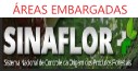 SINAFLOR